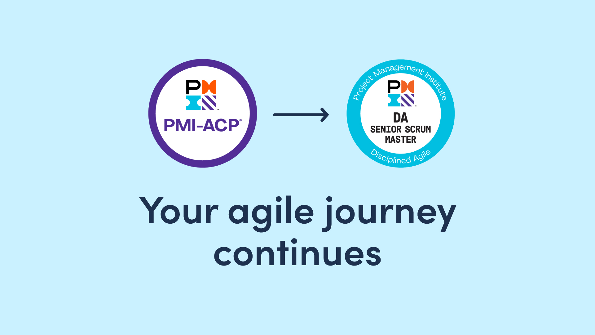 ACP Agile Certified Practitioner
